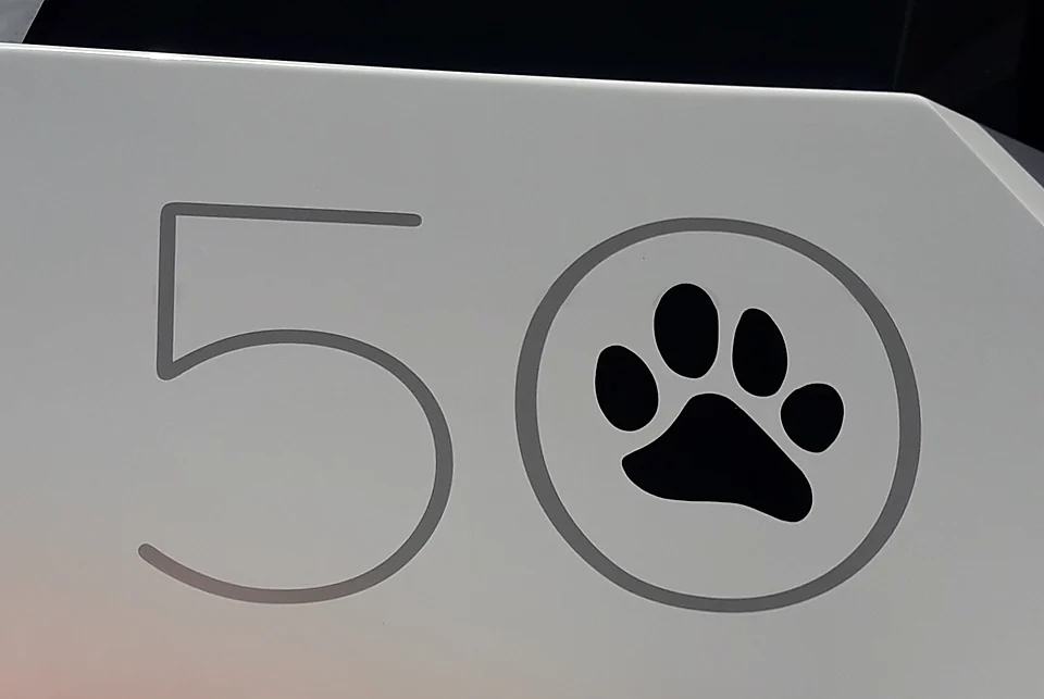 Leopard 50 paw emblem on the deckhouse