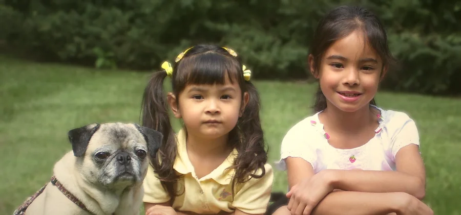 Drina, Emily and Li-Li the pug as children, sitting together on the lawn