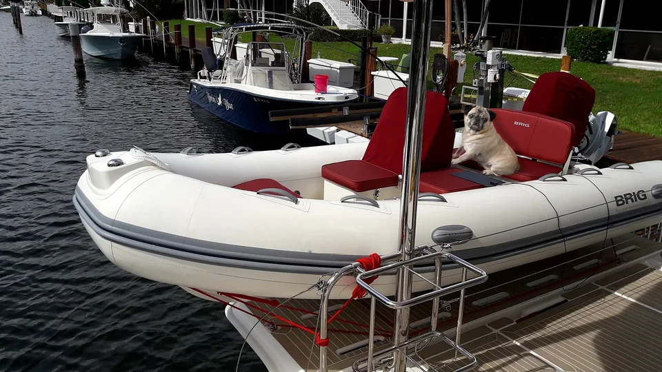 Li-Li the pug at the helm of her namesake tender, a Brig RIB with red seats